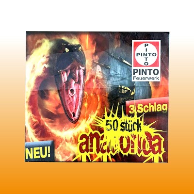 Anaconda 3 Schlag